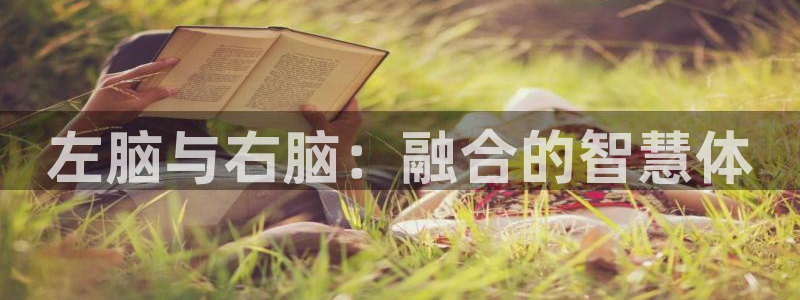 看球通体育app：左脑与右脑：融合的智慧体