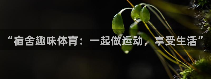 看球通体育下载：“宿舍趣味体育：一起做运动，享受生活”