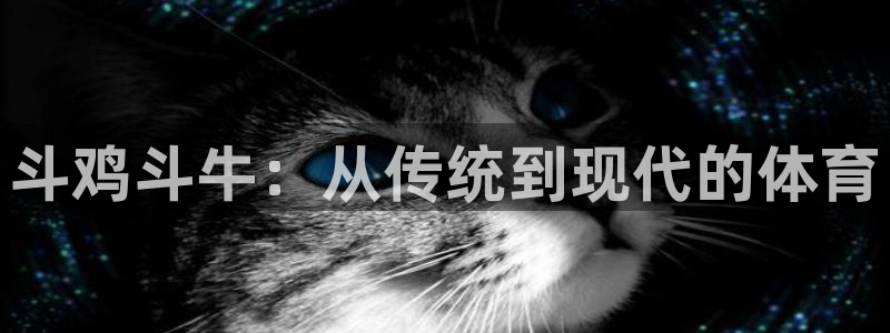 看球通体育app官方下载：斗鸡斗牛：从传统到现代的体育