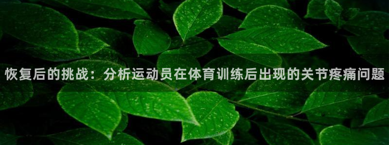 看球通体育下载：恢复后的挑战：分析运动员在体育训练后出现的关节疼痛问题