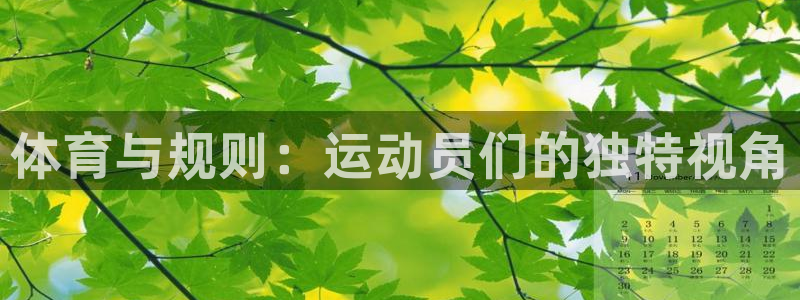 看球通体育网页版：体育与规则：运动员们的独特视角