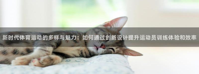 看球通体育在线观看：新时代体育运动的多样与魅力：如何通过创新设计提升运动员训练体验和效率