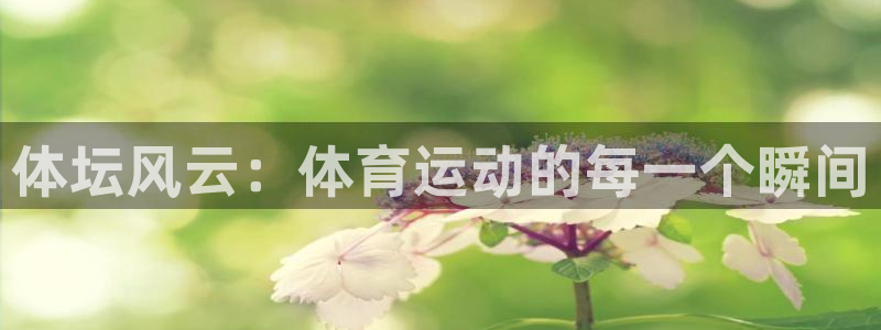 看球通体育APP：体坛风云：体育运动的每一个瞬间